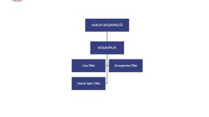 Organizasyon Şeması